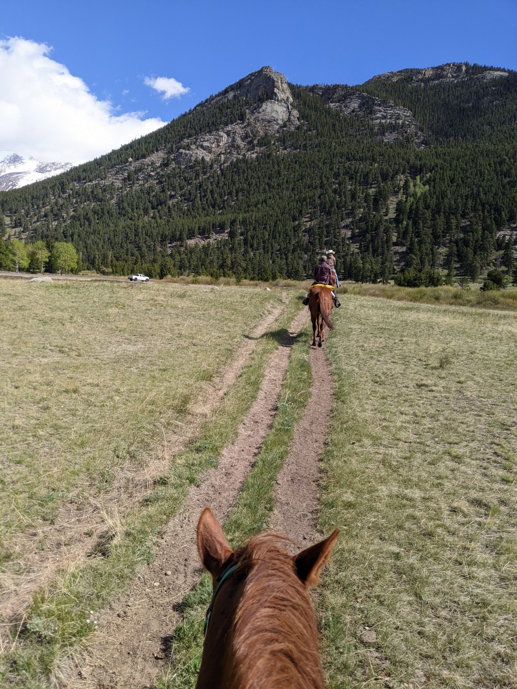 Daily prompt: wild&nbsp;life