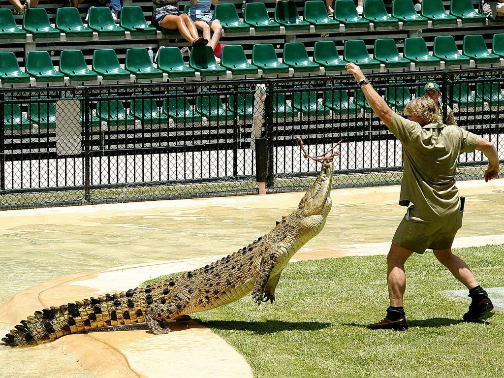 Daily Prompt: Crocodile&nbsp;Hunter