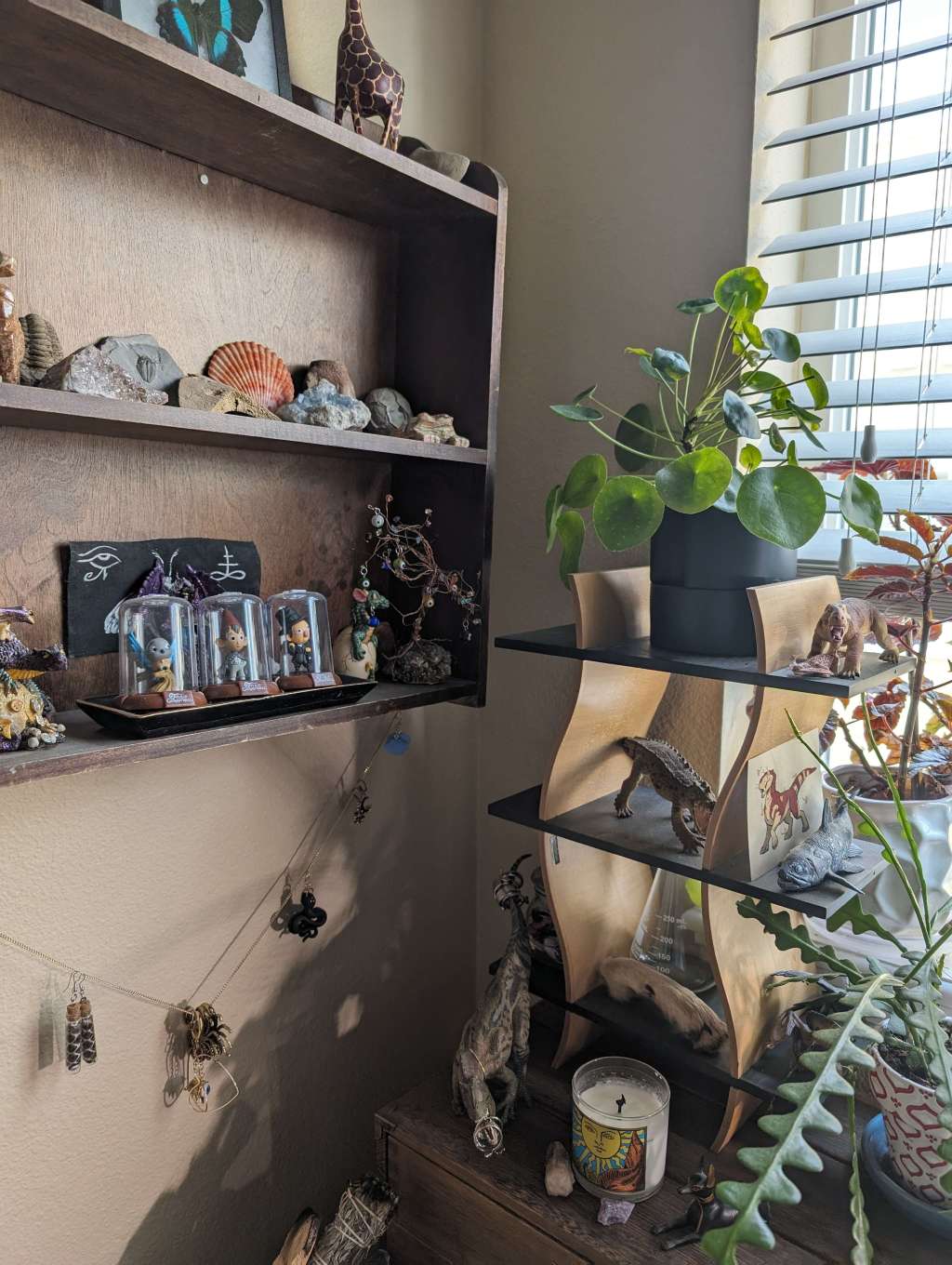Daily Prompt: Clutter