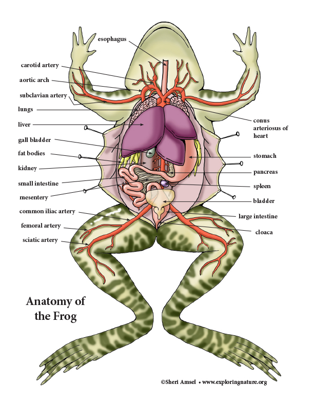 Daily Prompt: The Medical Industrial&nbsp;Complex
