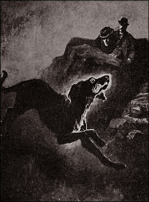 More Black Dogs
