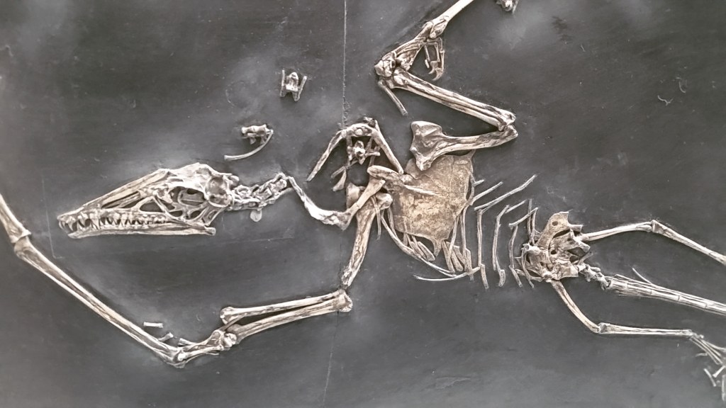 Daily Prompt: Paleontologist
