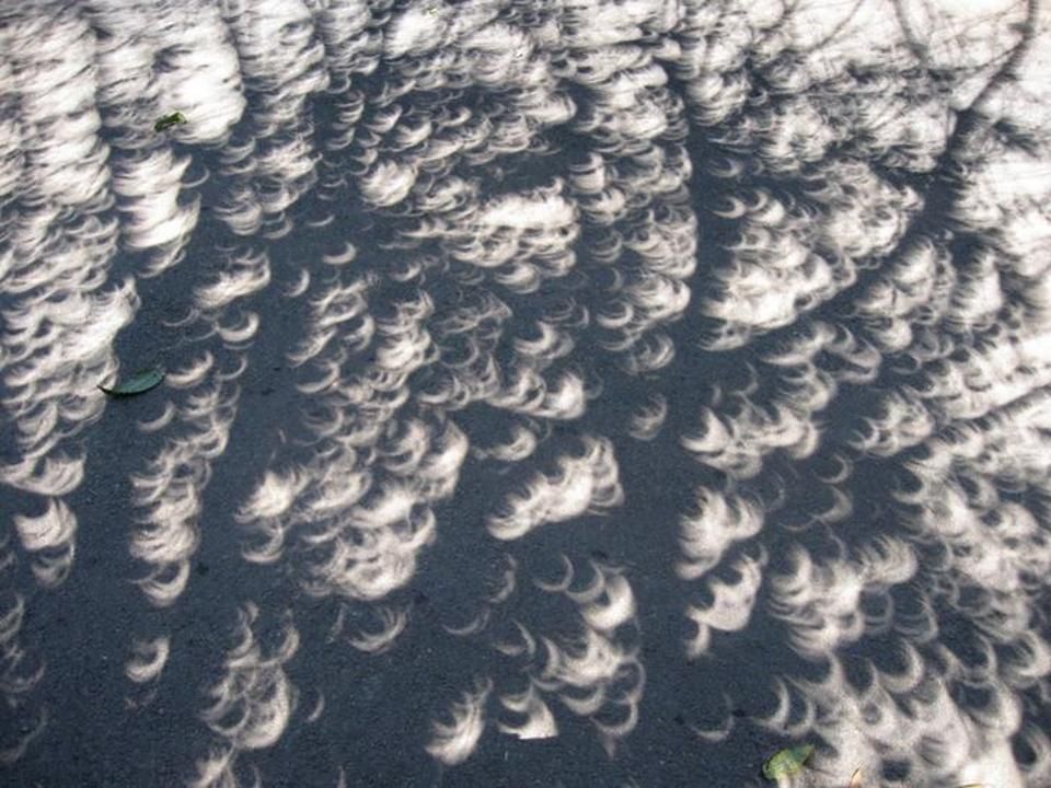 This is your Brain on the&nbsp;Eclipse