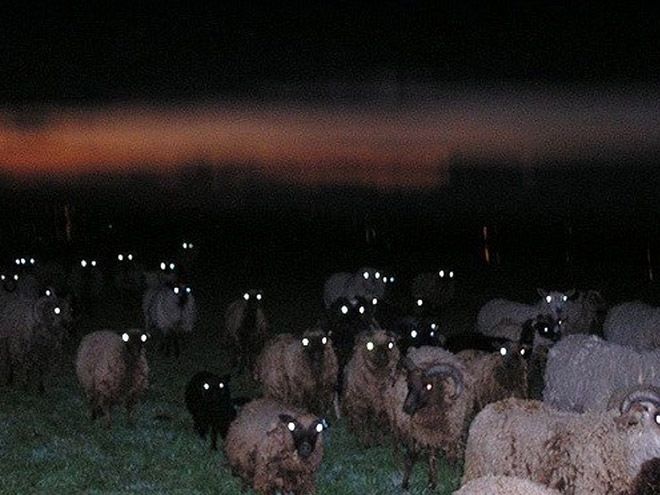 Cursed Ground