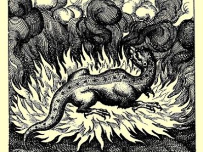 The Dragon